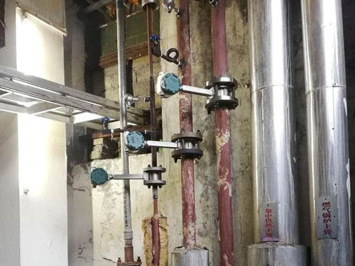 高温高压也不怕 精川涡街流量计让你轻松应对食品厂蒸汽流量测量