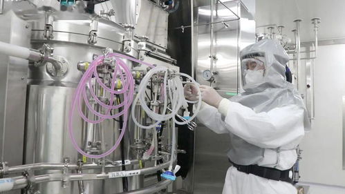深度揭秘 60天建成全球最大新冠灭活疫苗生产车间